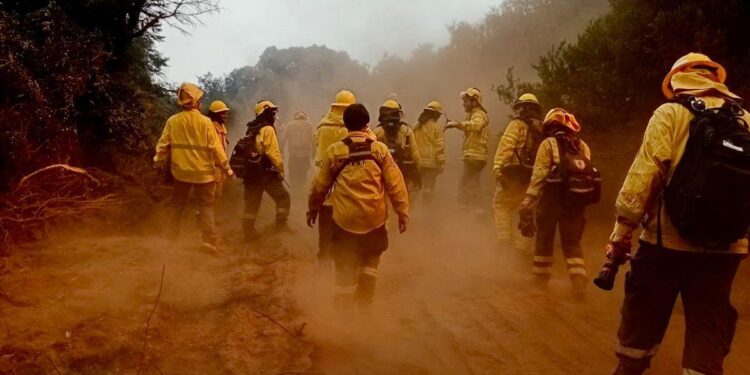 Regresaron a Santa Fe los brigadistas que fueron a colaborar en el control de incendios forestales en Chubut.