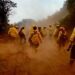 Regresaron a Santa Fe los brigadistas que fueron a colaborar en el control de incendios forestales en Chubut.