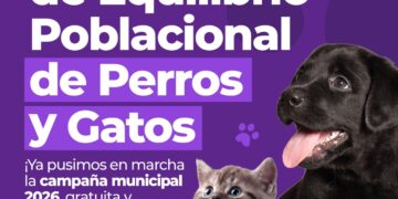 Villa Ocampo puso en marcha el Programa de Equilibrio Poblacional de Perros y Gatos – Campaña 2026.