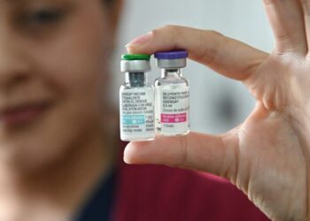 Objetivo Dengue: en Santa Fe ya se colocaron más de 159.000 vacunas.