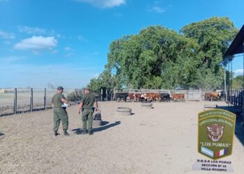 DGSR “Los Pumas” de Villa Ocampo, esclarecieron un hecho de Abigeato. 