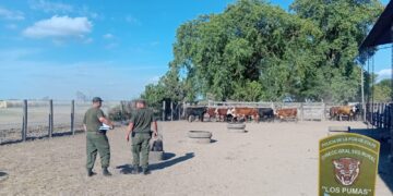 DGSR “Los Pumas” de Villa Ocampo, esclarecieron un hecho de Abigeato. 