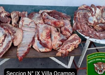 Secuestran más de 230 kilos de carne y detienen a un carnicero en Villa Guillermina por presunto abigeato.