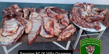 Secuestran más de 230 kilos de carne y detienen a un carnicero en Villa Guillermina por presunto abigeato.