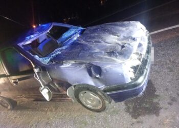 VILLA OCAMPO: automovilista chocó contra una yegua y su potrillo sobre Ruta 32.