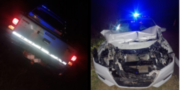 HARDY: choque por alcance en Ruta 11 tras una maniobra para evitar atropellar a un perro.