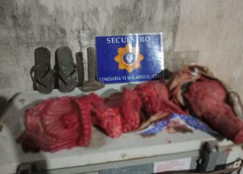 Malabrigo: Dejó un martillo y ojotas al robar un cerdo y lo atraparon.