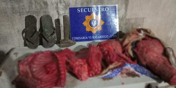 Malabrigo: Dejó un martillo y ojotas al robar un cerdo y lo atraparon.