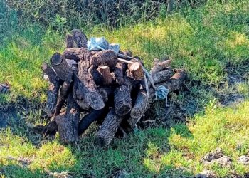 Las Toscas: Juntaba leña… pero no era suya.