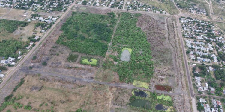 VILLA OCAMPO: AVANZAN LOS TRABAJOS DE LIMPIEZA Y APERTURA DE CALLE EN EL PREDIO DEL EX INGENIO ARNO.