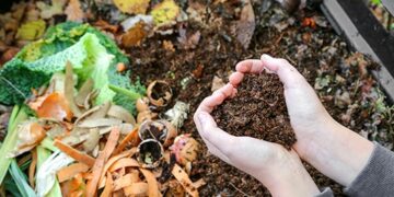 Villa Ocampo realizará un taller de separación de residuos y compostaje comunitario.