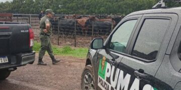 La Policía Rural recuperó 161 animales tras una denuncia de un reconocido influencer del agro.