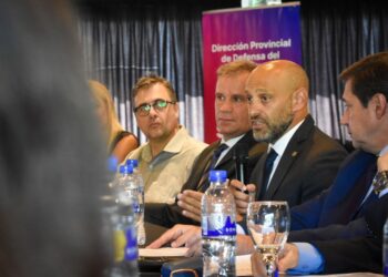 Derechos del consumidor: Nación destacó su incorporación en la nueva Constitución de Santa Fe.