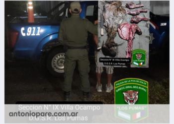 Villa Guillermina: “Los Pumas” de Villa Ocampo detuvieron a un hombre por abigeato de ganado menor.