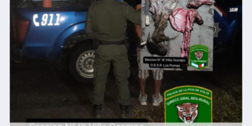 Villa Guillermina: “Los Pumas” de Villa Ocampo detuvieron a un hombre por abigeato de ganado menor.