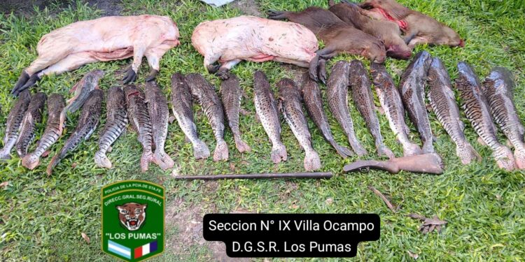 Los Pumas Villa Ocampo, labraron acta por “Infracción Art. 189 Bis Inc. II del CPA”.
