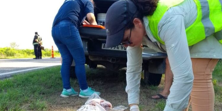 Ambiente reforzó controles para Semana Santa y sancionó a dos frigoríficos pesqueros.