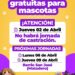 Villa Ocampo: Se informa la programación de jornadas de castraciones gratuitas para mascotas.