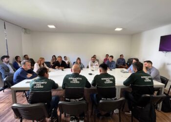 Trabajadores del cuero alertaron sobre la crisis del sector en la Comisión de Asuntos Laborales.