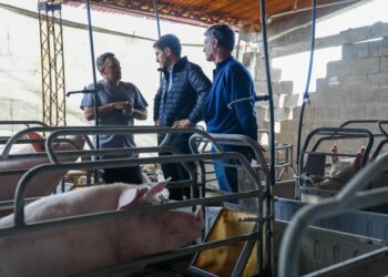 Departamento Belgrano: Pullaro visitó establecimientos productivos afectados por el temporal.