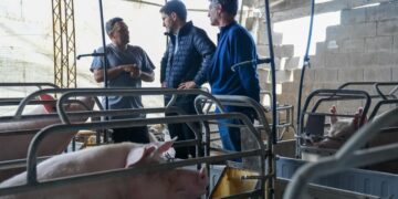 Departamento Belgrano: Pullaro visitó establecimientos productivos afectados por el temporal.