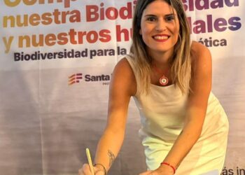  Media sanción para declarar Monumento Natural Provincial al Mono Carayá.