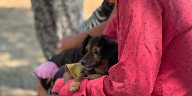 Villa Ocampo: Suspendida la jornada de castraciones en Barrio Los Amores.
