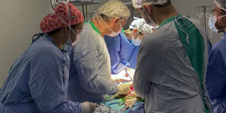 Cudaio: cuatro donaciones de órganos en 72 horas en la Provincia de Santa Fe.