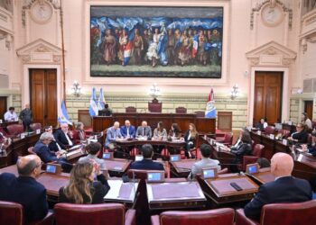 Puccini detalló a legisladores las gestiones por la concesión de la hidrovía, puso foco en Rosario y adelantó el nuevo Puerto de Villa Ocampo.