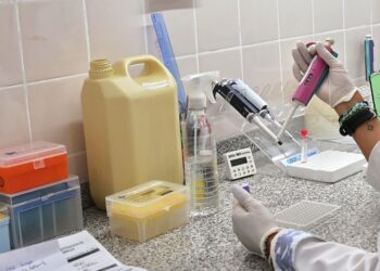 Provincia fortalece el diagnóstico de psitacosis mediante transferencia tecnológica.
