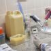 Provincia fortalece el diagnóstico de psitacosis mediante transferencia tecnológica.