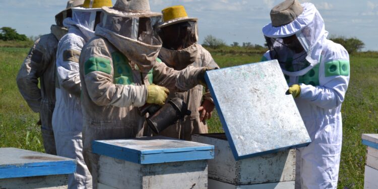 Se encuentra abierta la inscripción al curso de Operador Apícola en Villa Ocampo.