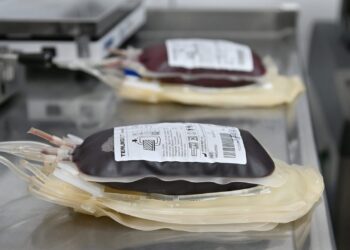 Hemoterapia: con inversión y más de 200 colectas al año, Santa Fe consolida su modelo basado en la donación voluntaria de sangre.