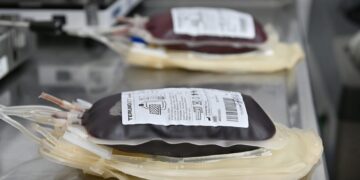 Hemoterapia: con inversión y más de 200 colectas al año, Santa Fe consolida su modelo basado en la donación voluntaria de sangre.