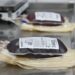 Hemoterapia: con inversión y más de 200 colectas al año, Santa Fe consolida su modelo basado en la donación voluntaria de sangre.