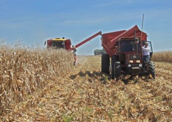 ACTUALIZACIÓN DEL RUPP PARA PRODUCTORES AGROPECUARIOS.