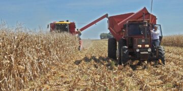 ACTUALIZACIÓN DEL RUPP PARA PRODUCTORES AGROPECUARIOS.