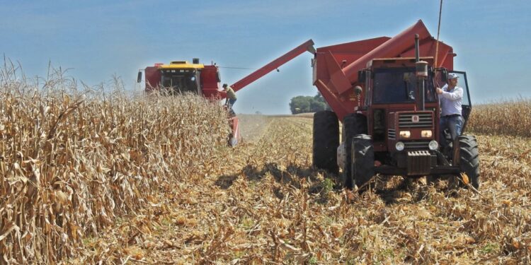 ACTUALIZACIÓN DEL RUPP PARA PRODUCTORES AGROPECUARIOS.