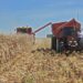 ACTUALIZACIÓN DEL RUPP PARA PRODUCTORES AGROPECUARIOS.