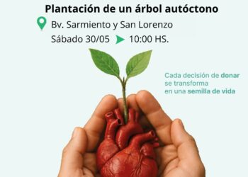 Plantación de un árbol por el Día Nacional de donación de órganos y tejidos.