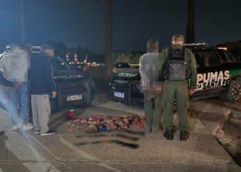 Abigeato en Reconquista: tres aprehendidos, secuestro de carne vacuna, armas y un guazuncho faenado.