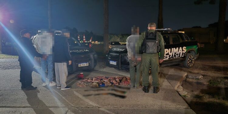Abigeato en Reconquista: tres aprehendidos, secuestro de carne vacuna, armas y un guazuncho faenado.