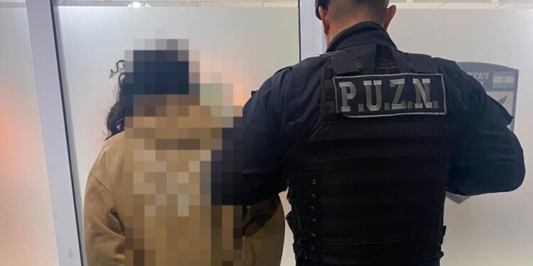 Aprehendido por insultar e intentar agredir a efectivos policiales.