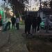 Una ciclista resultó herida tras un choque con un automóvil en Villa Ana.
