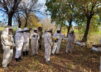 SE DESARROLLÓ LA SEGUNDA JORNADA DEL CURSO DE OPERADOR APÍCOLA EN VILLA OCAMPO.