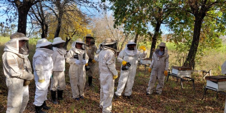 SE DESARROLLÓ LA SEGUNDA JORNADA DEL CURSO DE OPERADOR APÍCOLA EN VILLA OCAMPO.