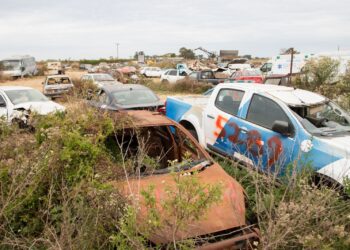 Más de 1.500 vehículos: la Provincia inició un nuevo procedimiento de compactación en Bella Italia.