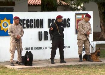 La Policía de Santa Fe realizó el primer Curso Nacional de Guías de Canes de Seguridad.