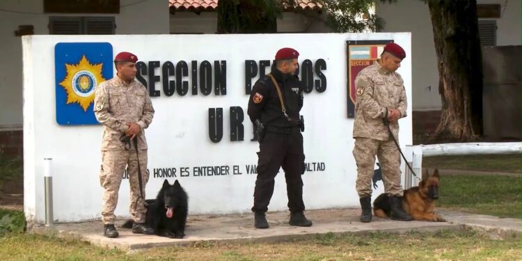 La Policía de Santa Fe realizó el primer Curso Nacional de Guías de Canes de Seguridad.