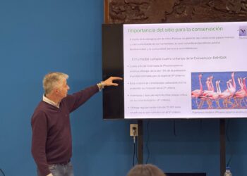 EL 6.º FORO NACIONAL DE HUMEDALES DESARROLLÓ TALLERES SOBRE CONSERVACIÓN, GESTIÓN Y RESTAURACIÓN DE ECOSISTEMAS.
